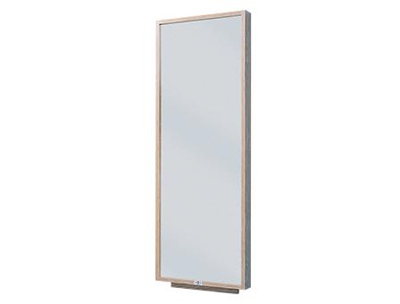 Wall Mounted Mirror